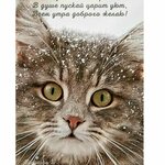 Алексей Ерёмин