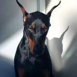 Ангелина Хорошева