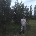 Алексей Токарев