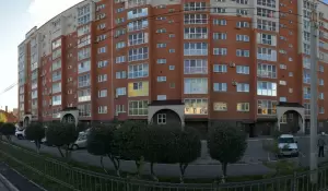 Фотография Стопа здоровья 0