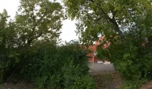 Фотография Медпрактик 3