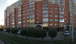 Фотография Стопа здоровья 1